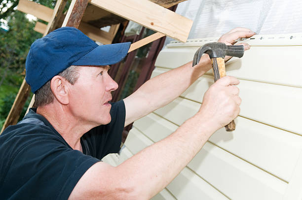 Best Insulated Siding Installation  in Port Sulphur, LA